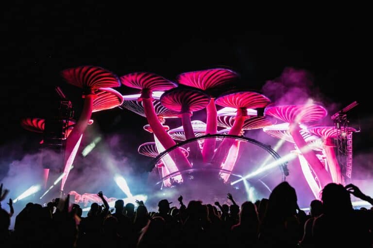 How Music Festivals Shape Modern Culture and Trends