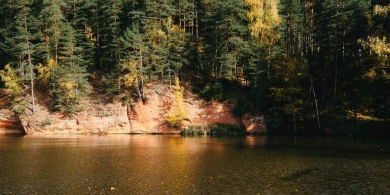 Springtime Exploration: Places to Visit Around Michigan’s Lakes