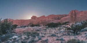Big Sagebrush: Nevada’s Symbol of Resilience and Heritage