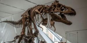 Mesozoic Era: Ancient Life & Dinosaur Dominance