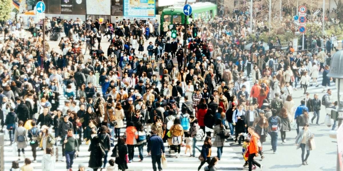 How Overpopulation Drives Disease Risks and Global Health
