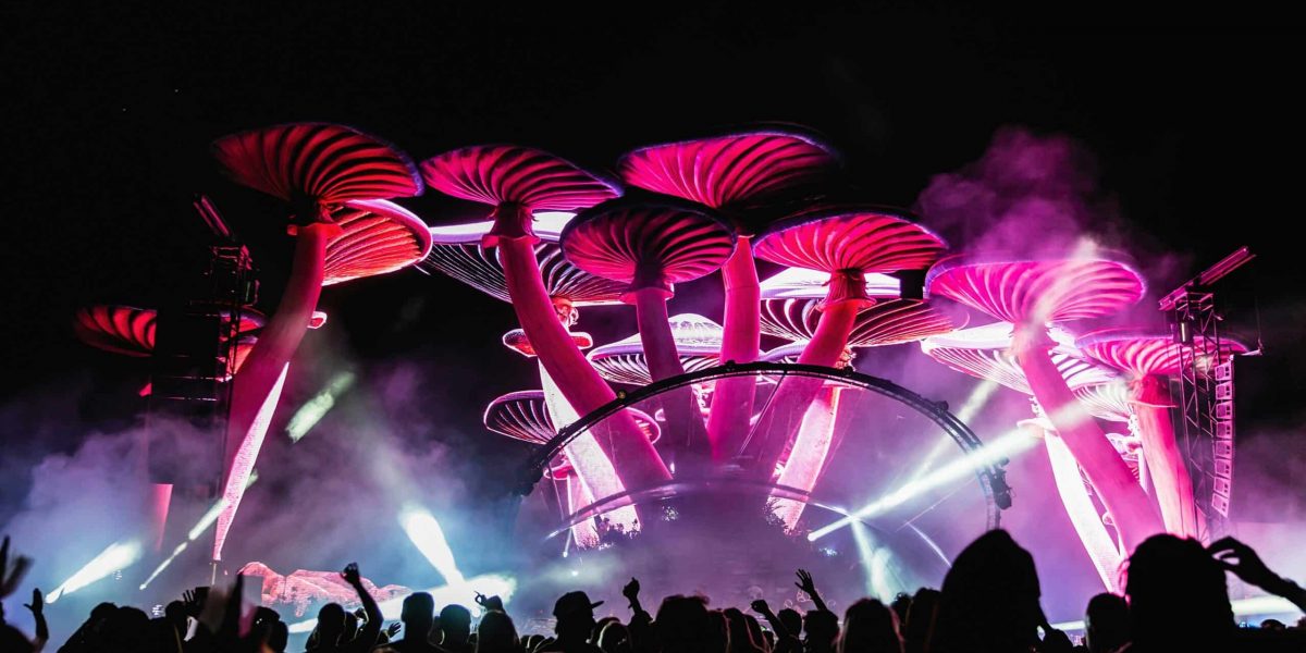 How Music Festivals Shape Modern Culture and Trends